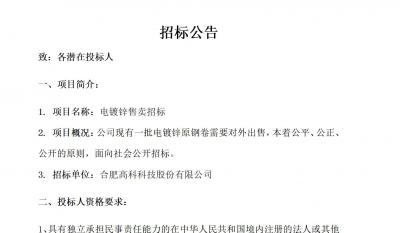 岳阳南宫NG28电镀锌售卖招标布告